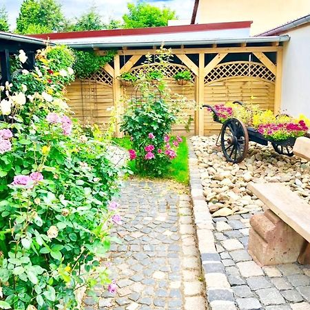 Ferienwohnungen Grimma 3 Dış mekan fotoğraf