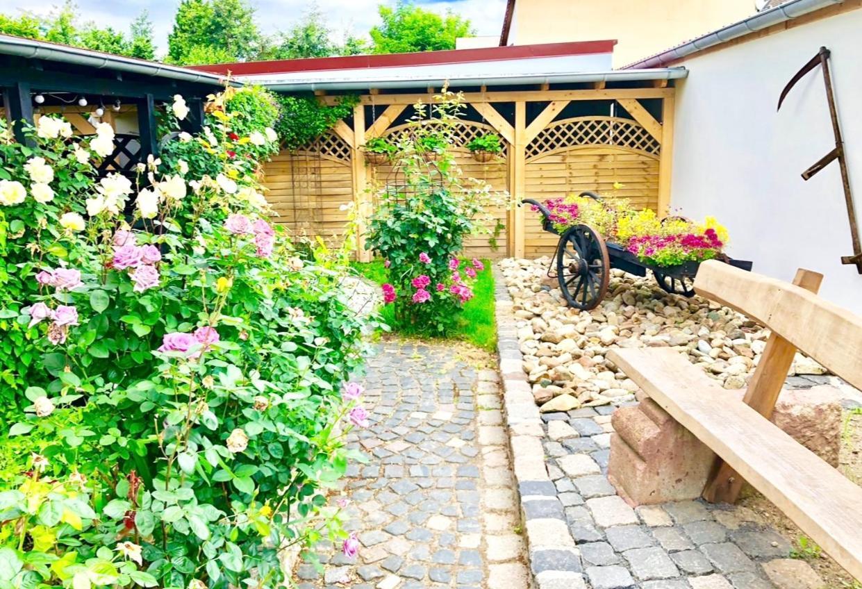 Ferienwohnungen Grimma 3 Dış mekan fotoğraf